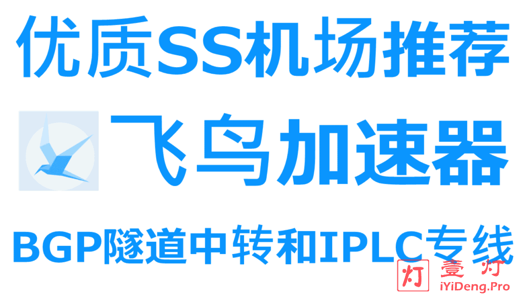 飞鸟加速器-优质SS机场推荐|国内入口BGP隧道中转和IPLC国际专线